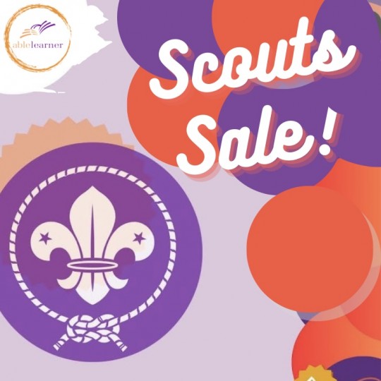 CCA Activity - Scout Sales